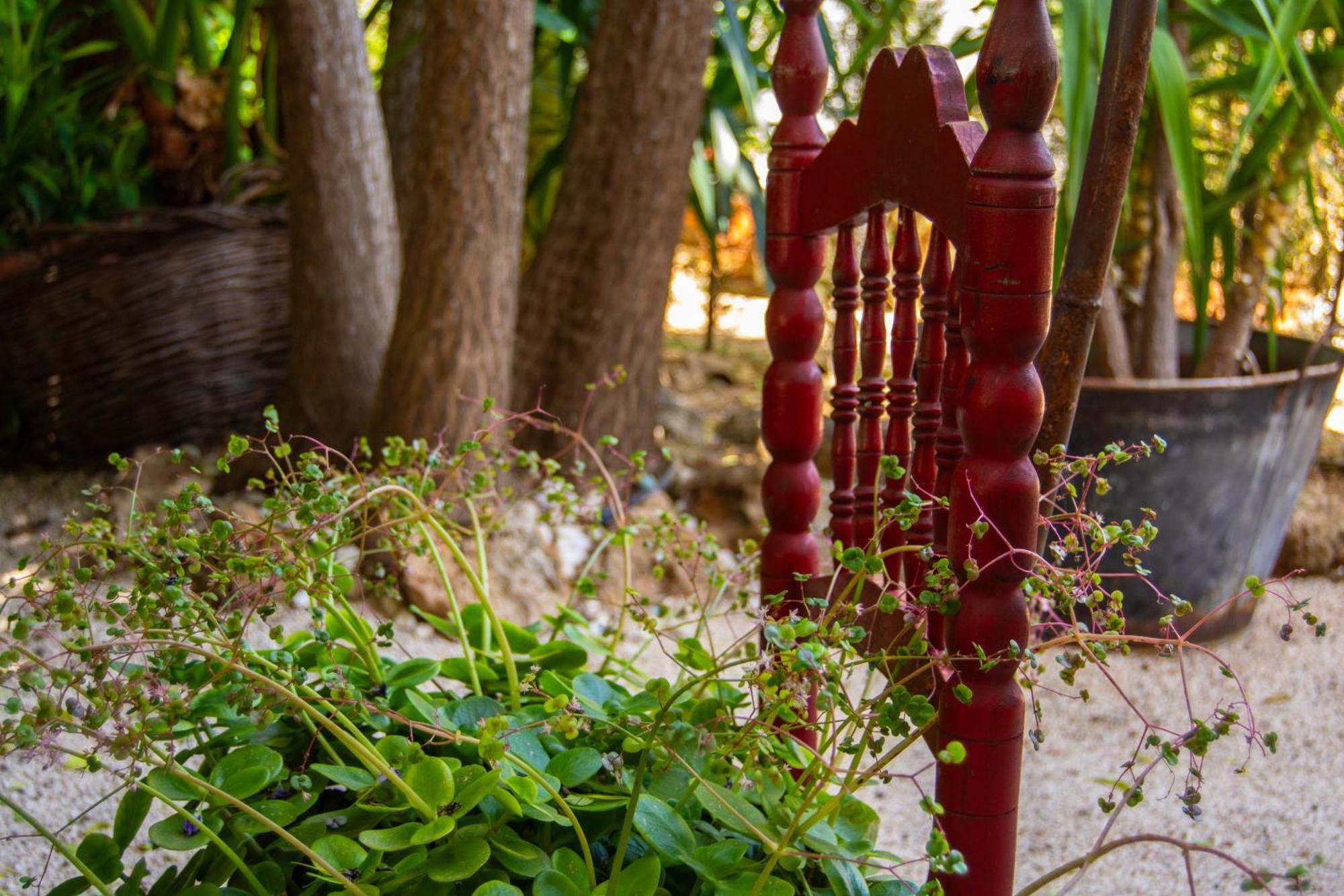 Alojamiento Rural Las Acacias Cabra Bagian luar foto